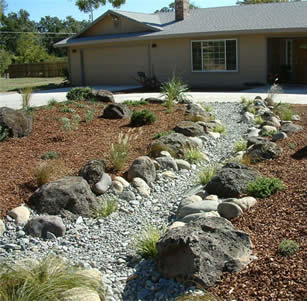 Dry Creek Beds